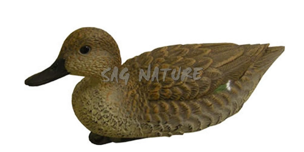 ALZAVOLA FEMMINA 7355 – STAMPISAG