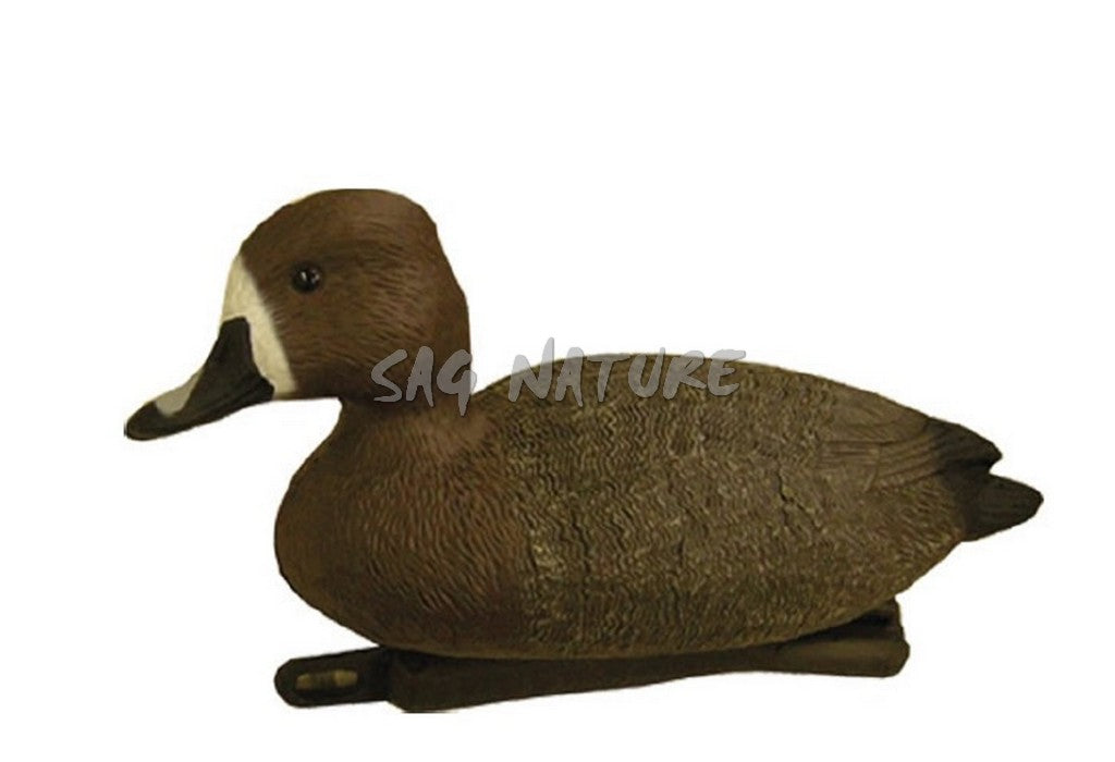 MORIGLIONE FEMMINA 7820H – STAMPISAG