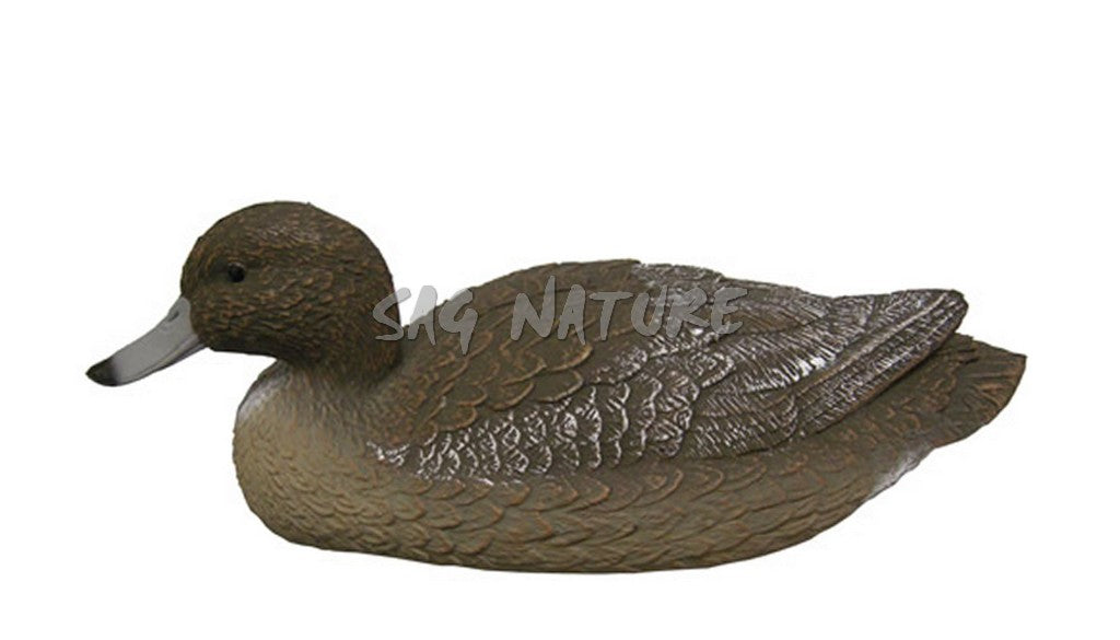 FISCHIONE FEMMINA 7812F – STAMPISAG