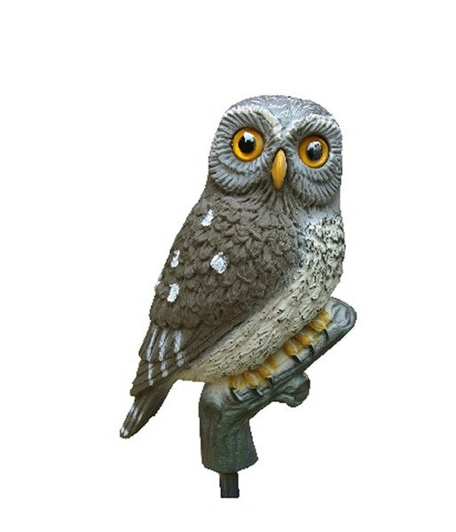 CIVETTA POSATA – STAMPISAG