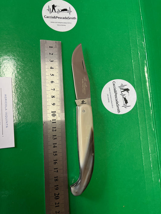 COLTELLO SCARPERIA CORNO LUCIDO SENZA TESTINA