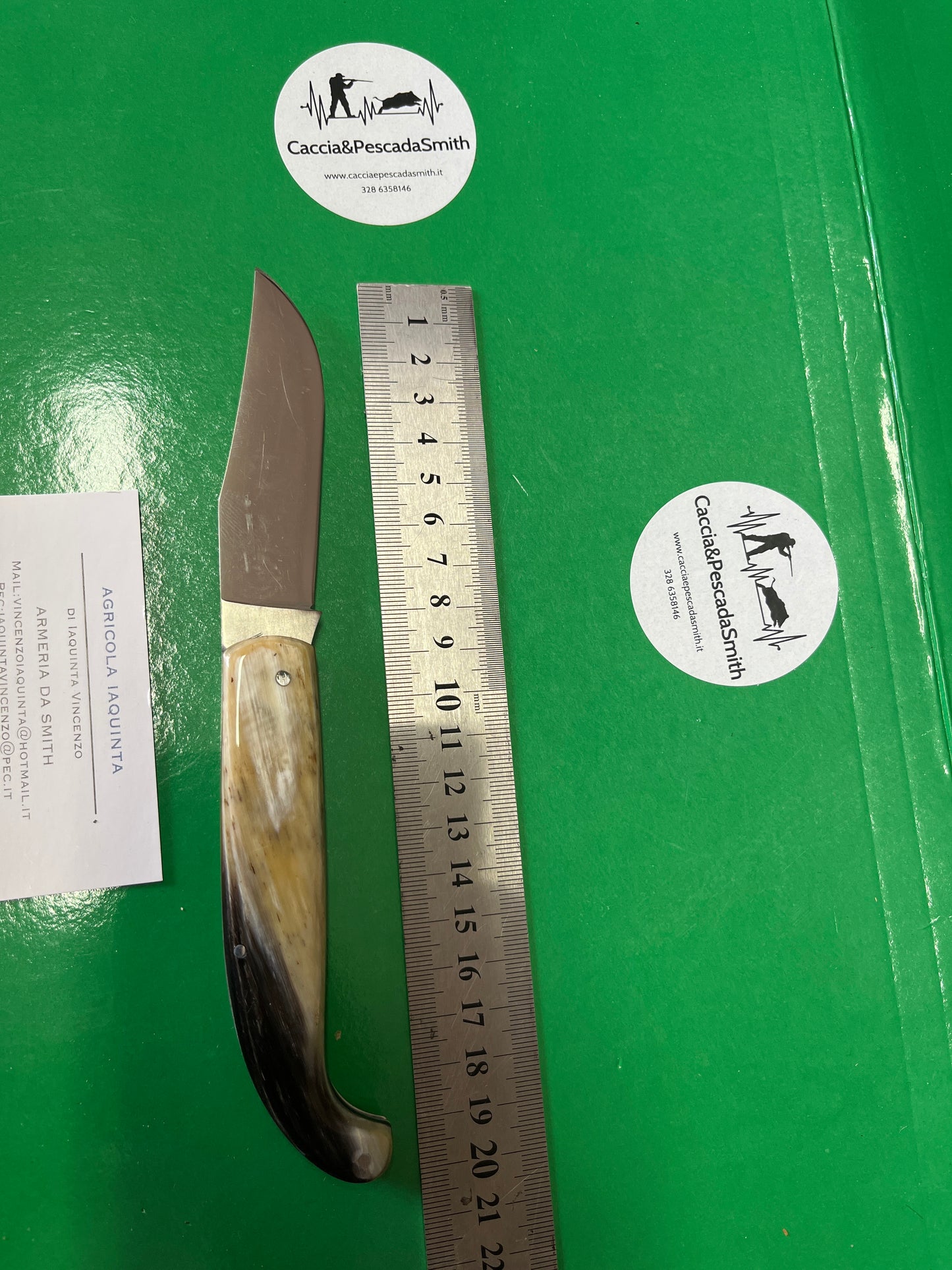 COLTELLO SCARPERIA CORNO LUCIDO SENZA TESTINA