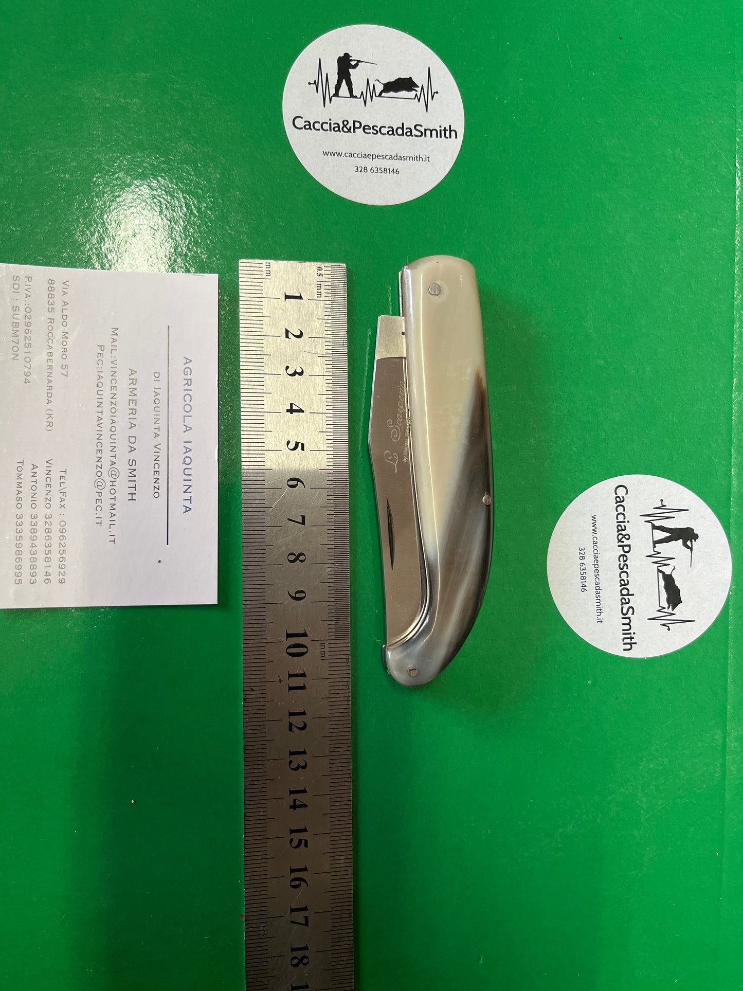 COLTELLO SCARPERIA CORNO LUCIDO SENZA TESTINA