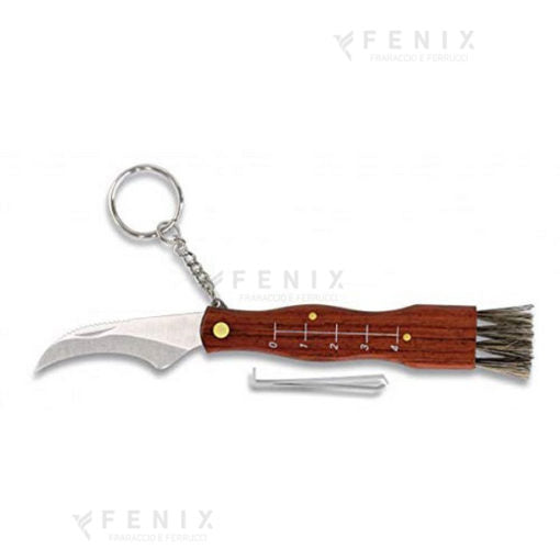 Colt. Coglifunghi legno eco